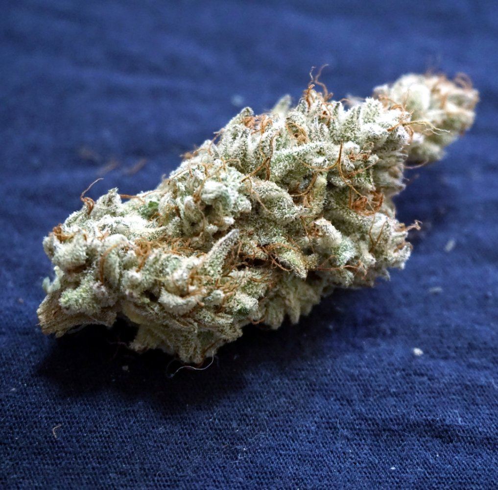 Sunset sherbet 1080