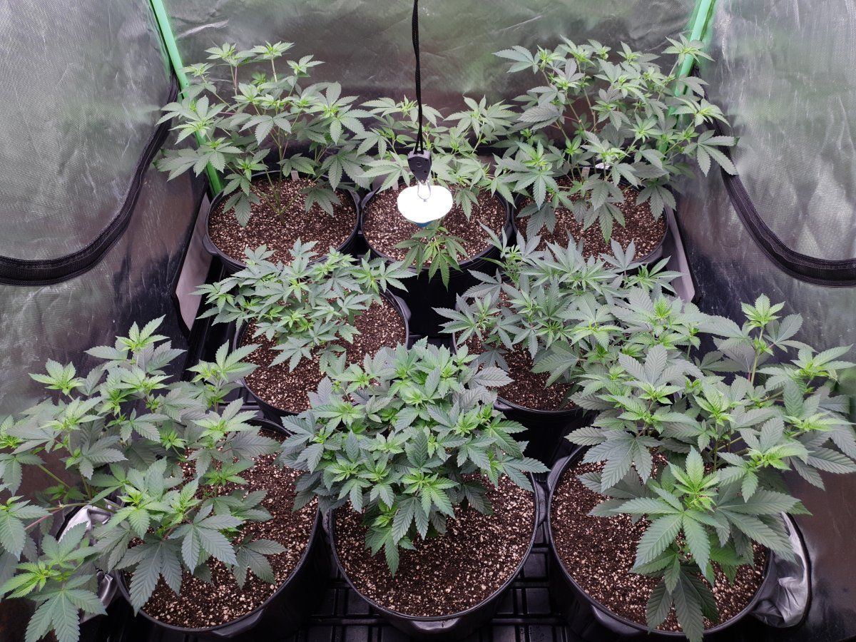 Super soil flip