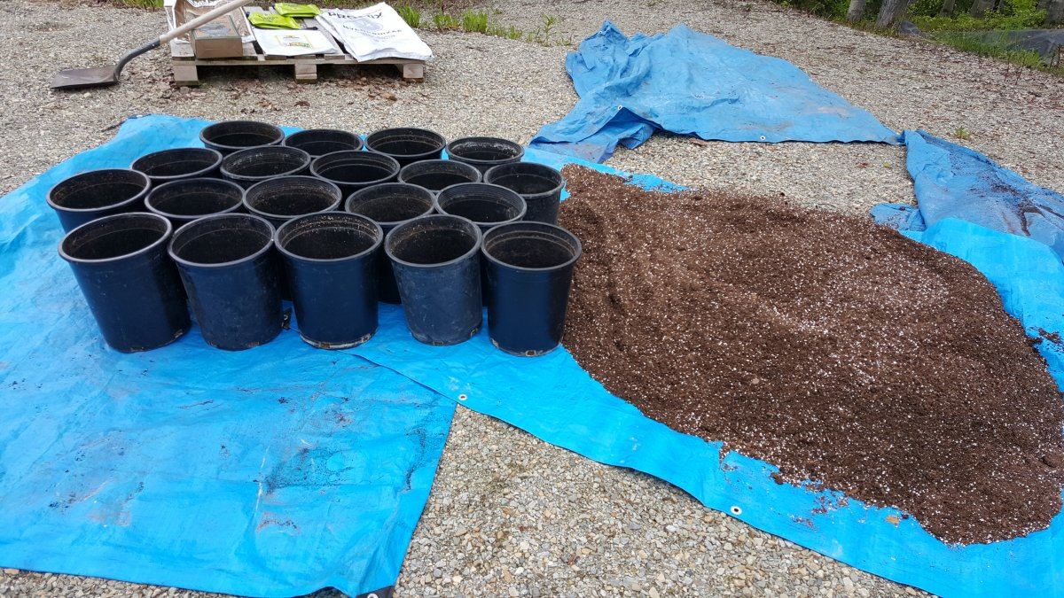 Super soil standard 3