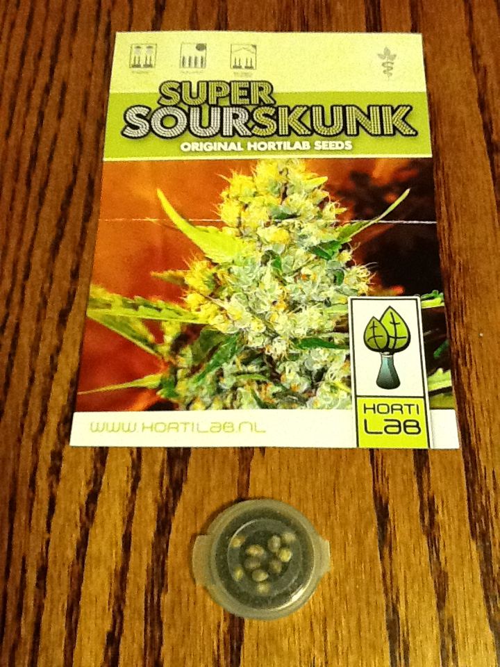 Super sour skunk