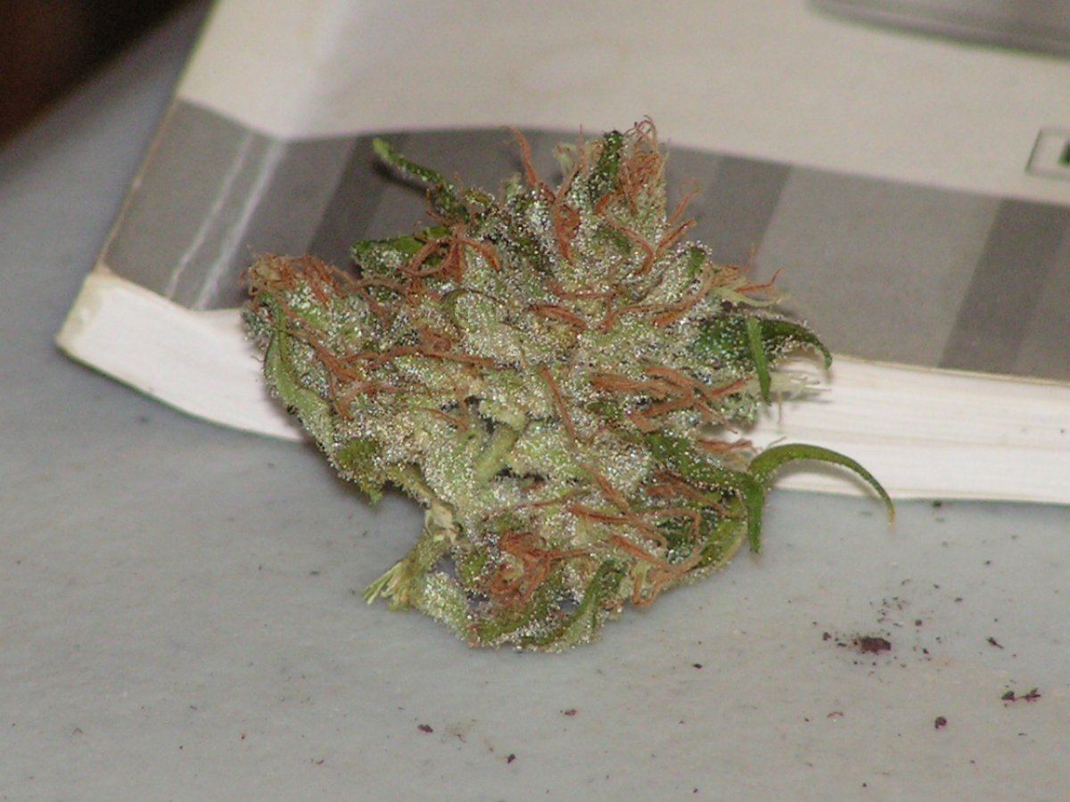 SUPER URKLE 4