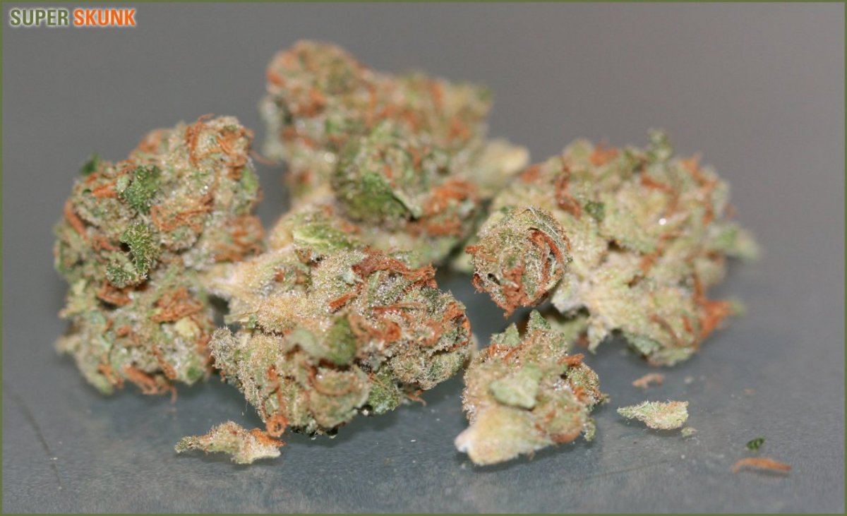 Super skunk2