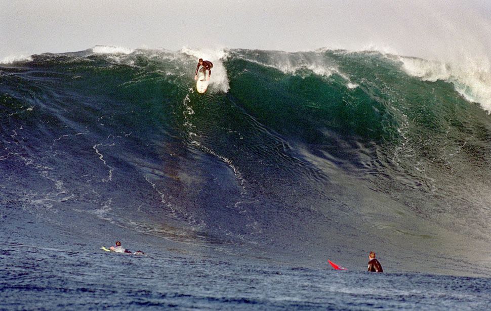 Surf6