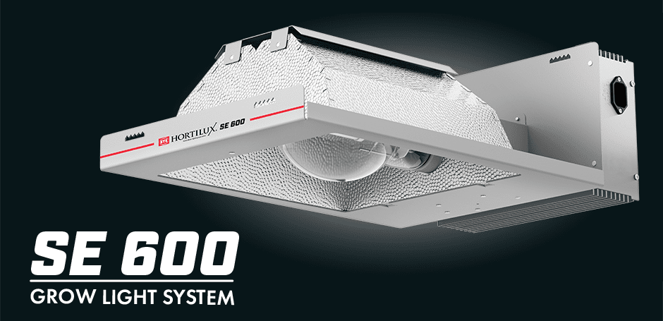System 600w chps