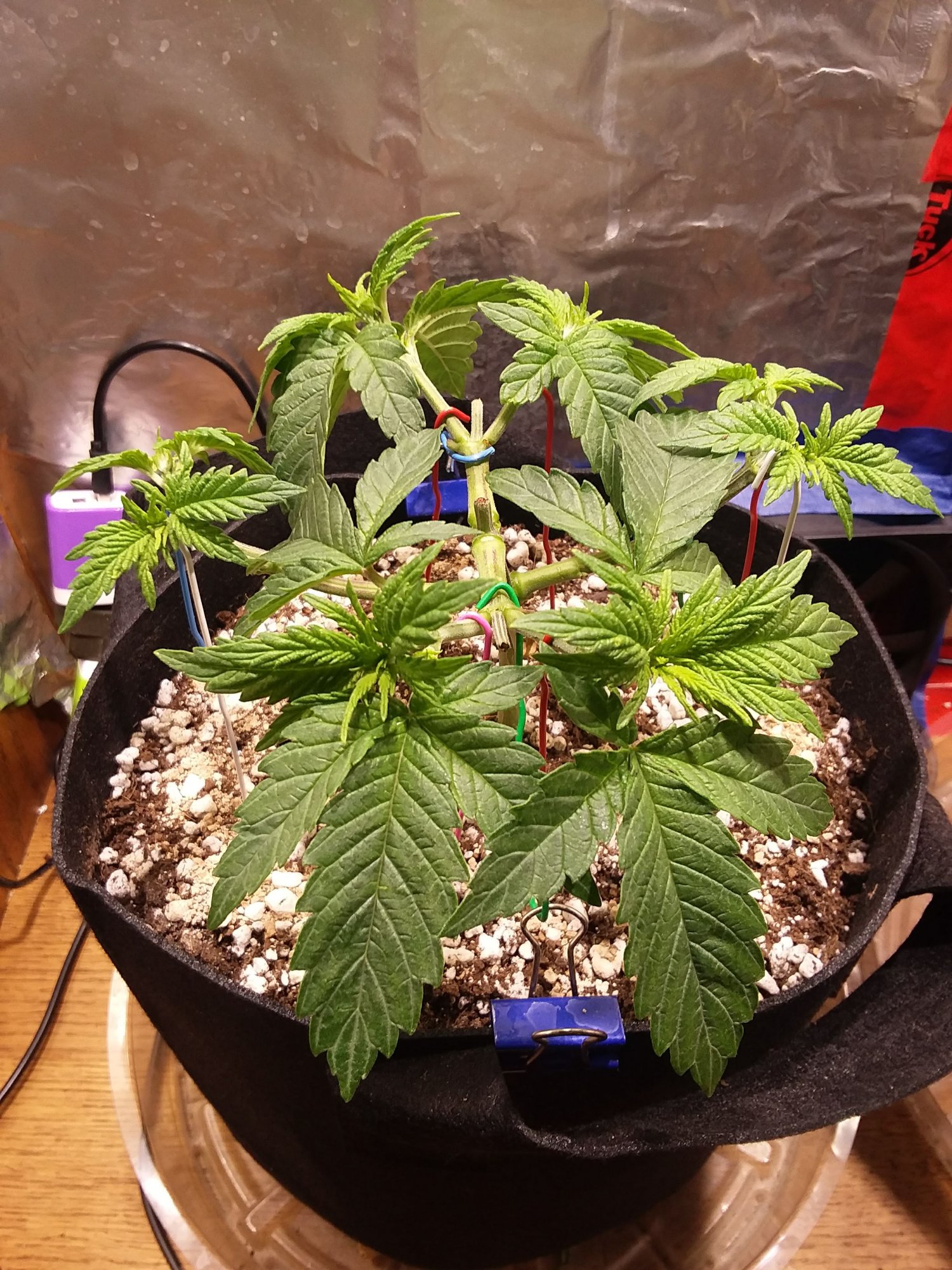T02