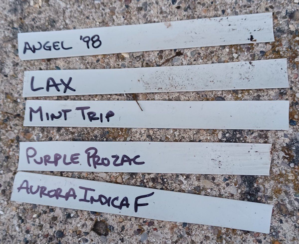 Tags
