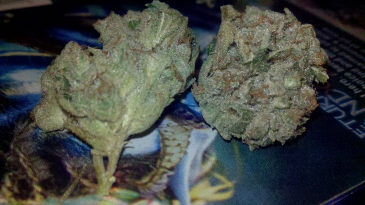 Tahoe