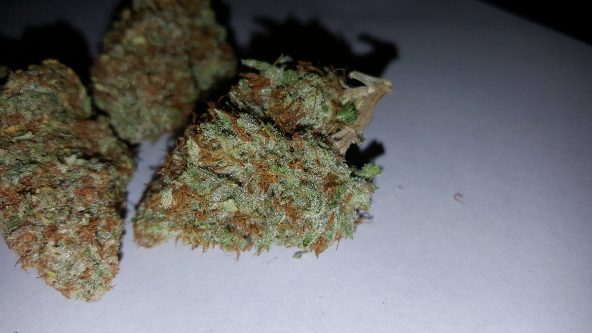 Tahoe OG 10 2015 1