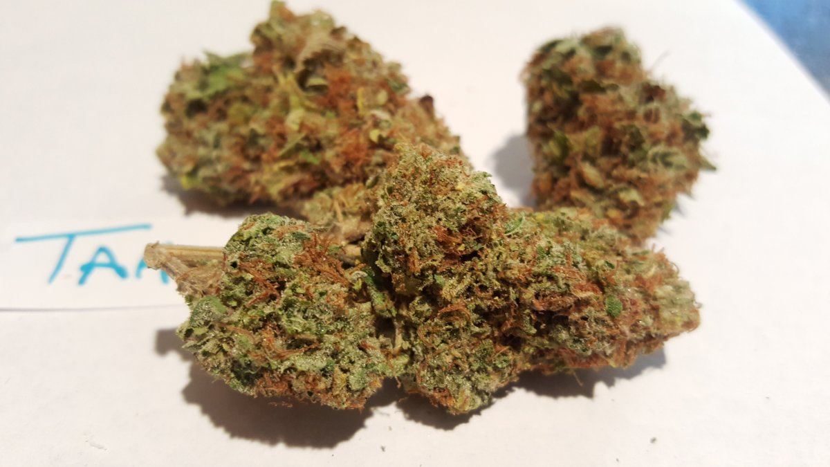 Tahoe OG 10 2015 3