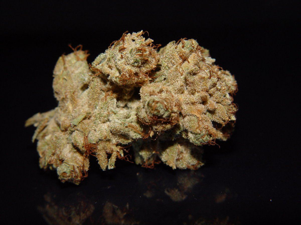 Tahoe OG 2