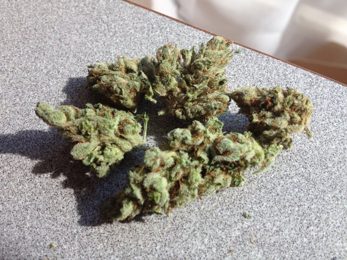 Tahoe OG 3