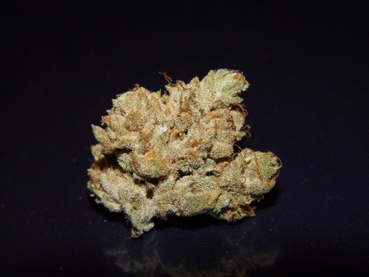 Tahoe OG 4