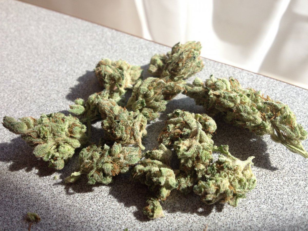 Tahoe OG