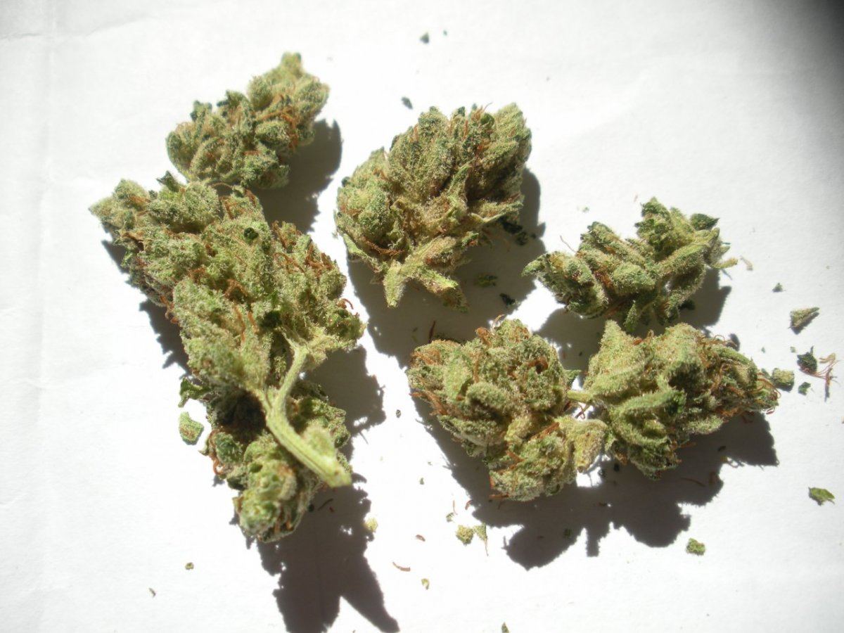 Tahoe OG10MP
