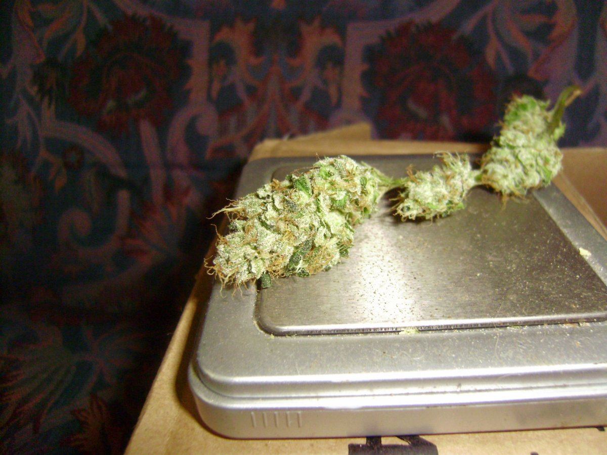 Tahoe sample