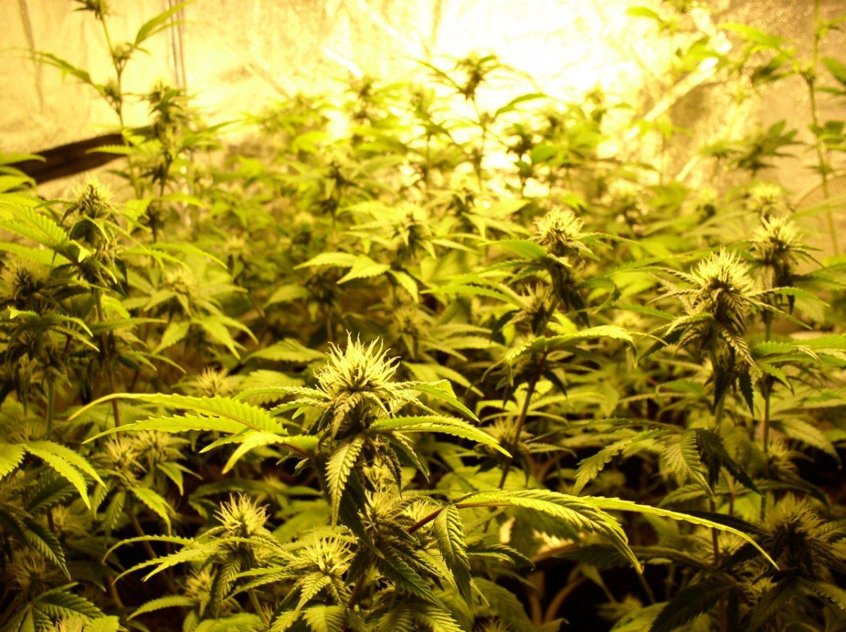 TahoeWk5 2