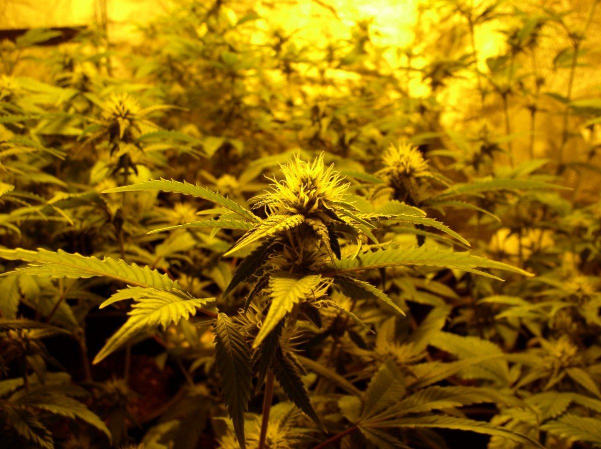 TahoeWk5 3
