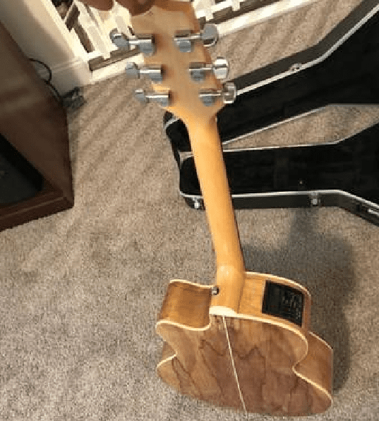 Takspaltedmapleback