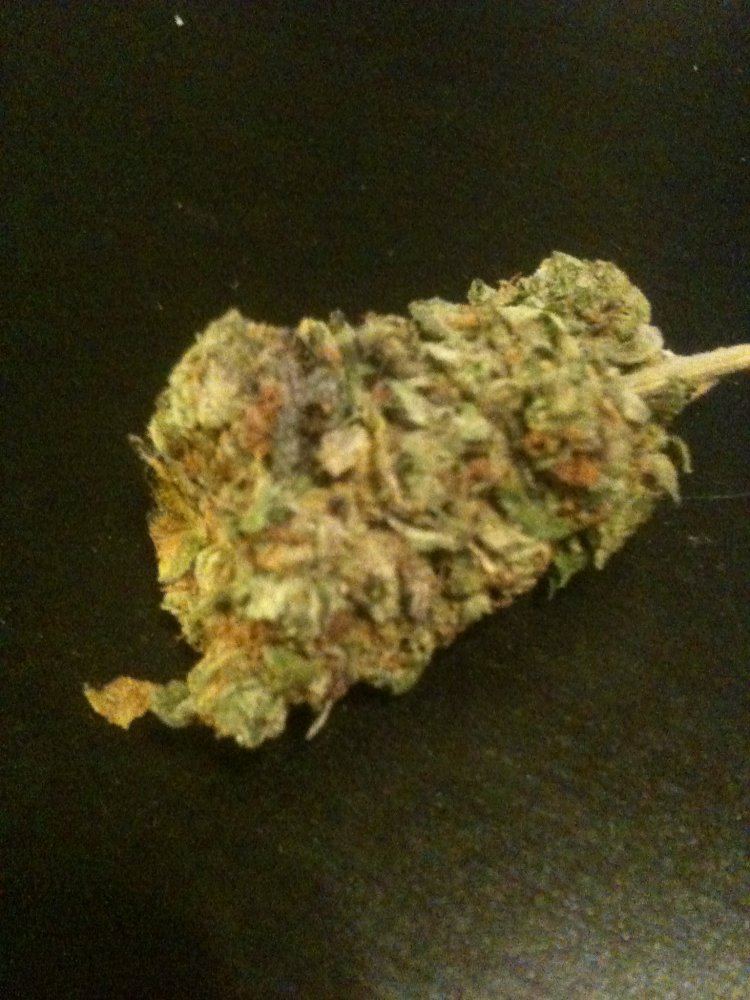 Tangerine kush 2
