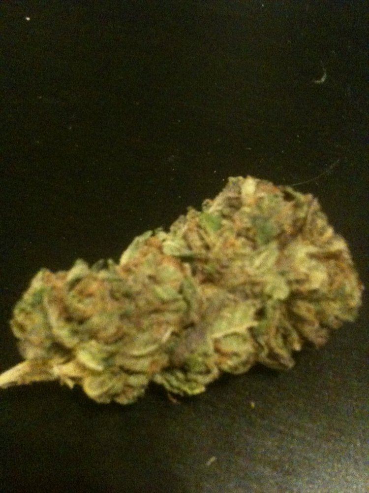 Tangerine kush 3