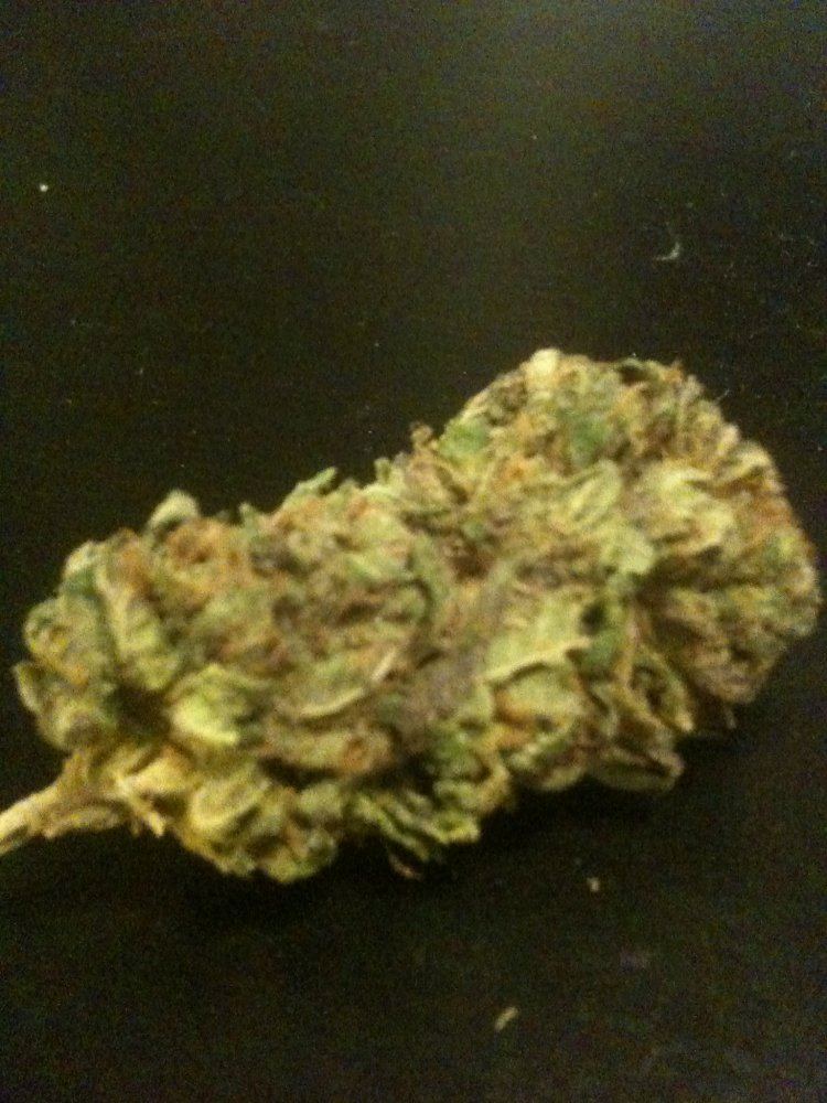 Tangerine kush 4