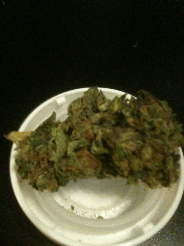 Tangerine kush 5
