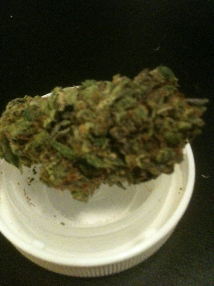 Tangerine kush 6