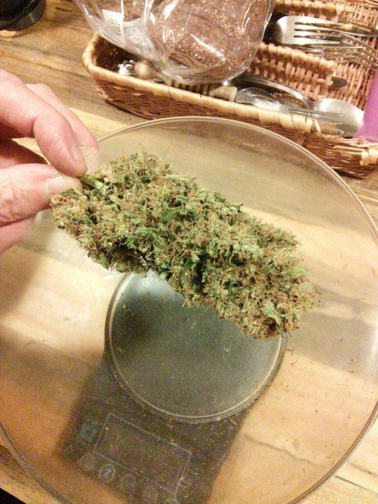 Tangerinehazexmedicineman01a