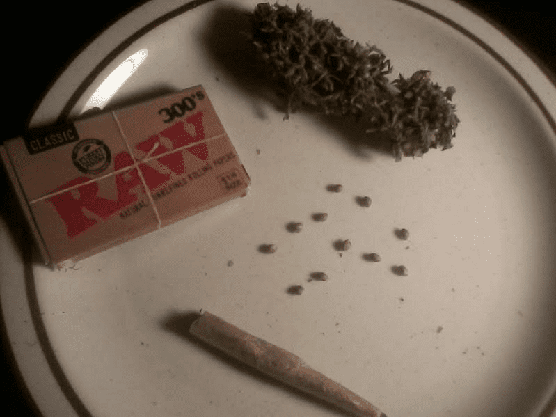 Tangie x Chemband61174