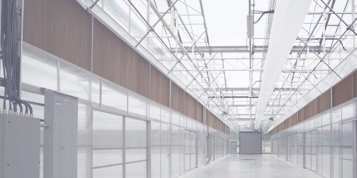 Tantalus Labs BC Inside greenhouse corridor