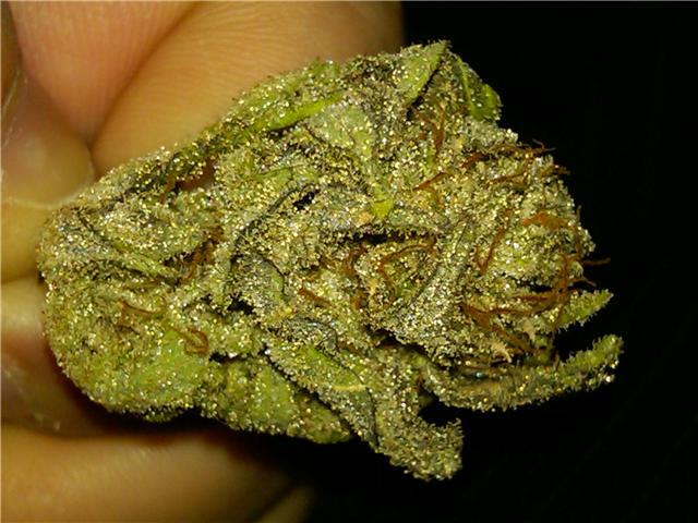 Tc