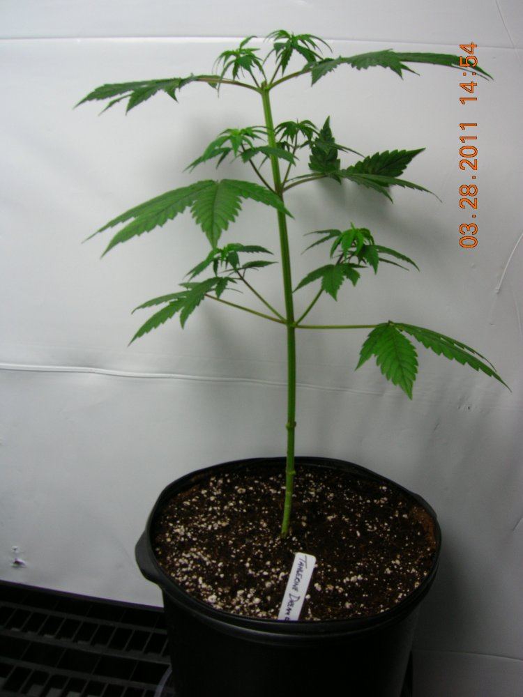 TD Day 1