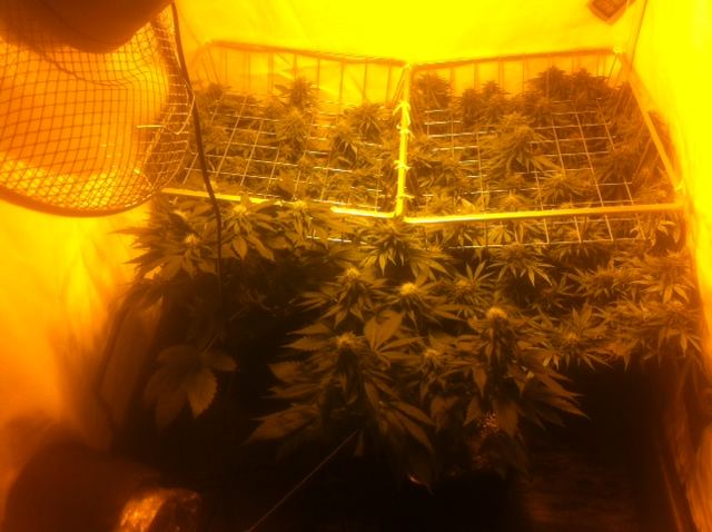TD6sBBGs4