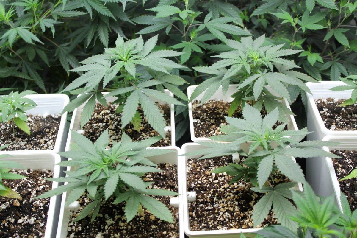 Teens1