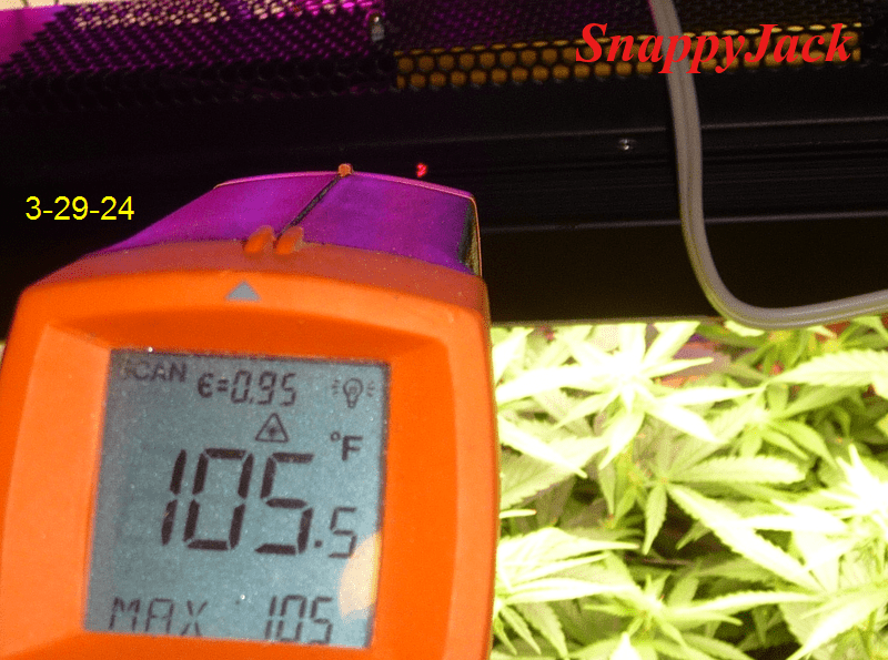 TEMP 3