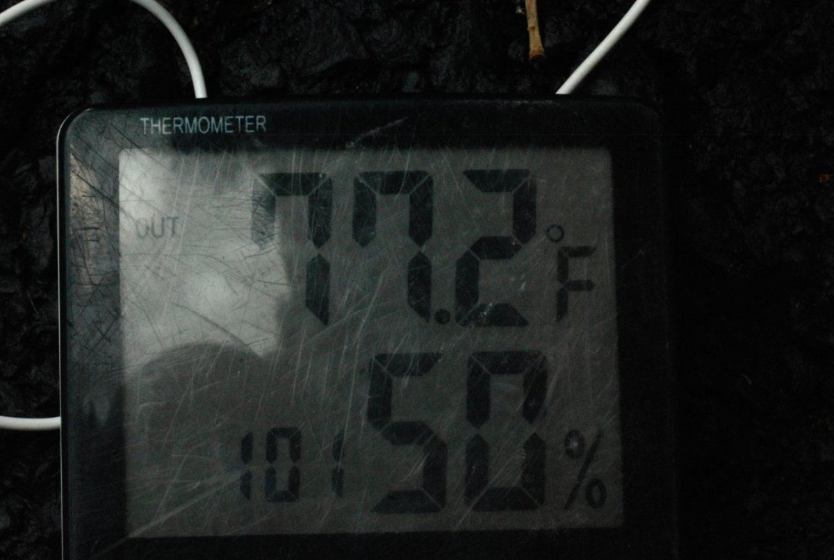 Temp