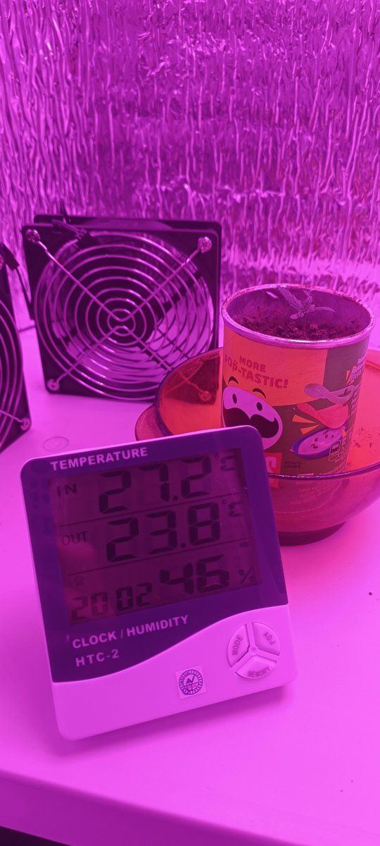 Temp humid