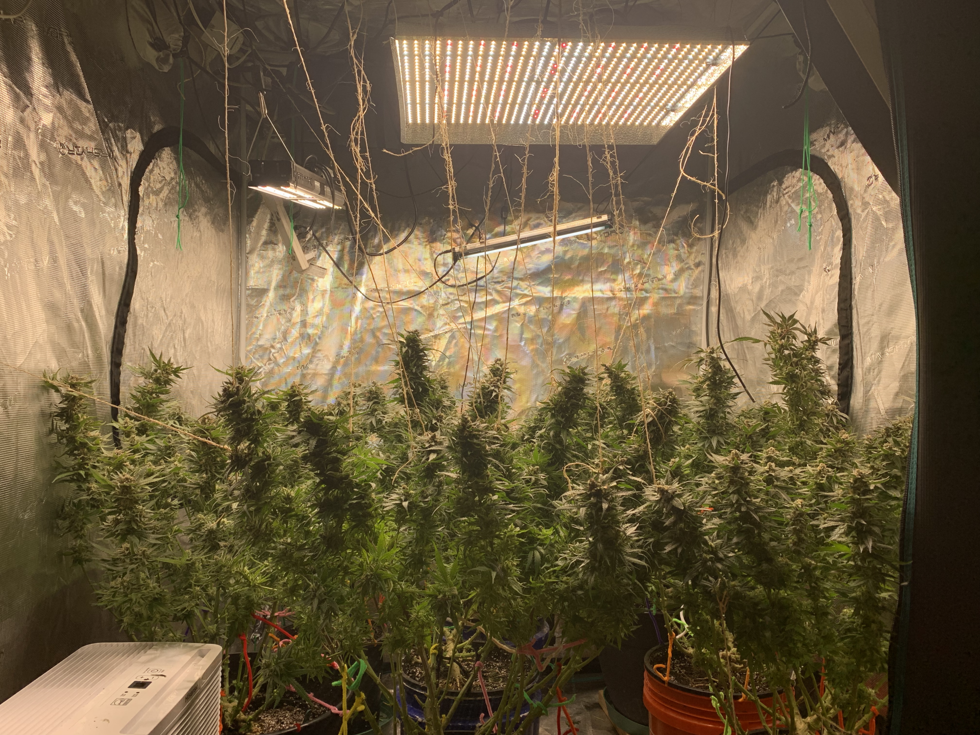 TempImagedrU71x