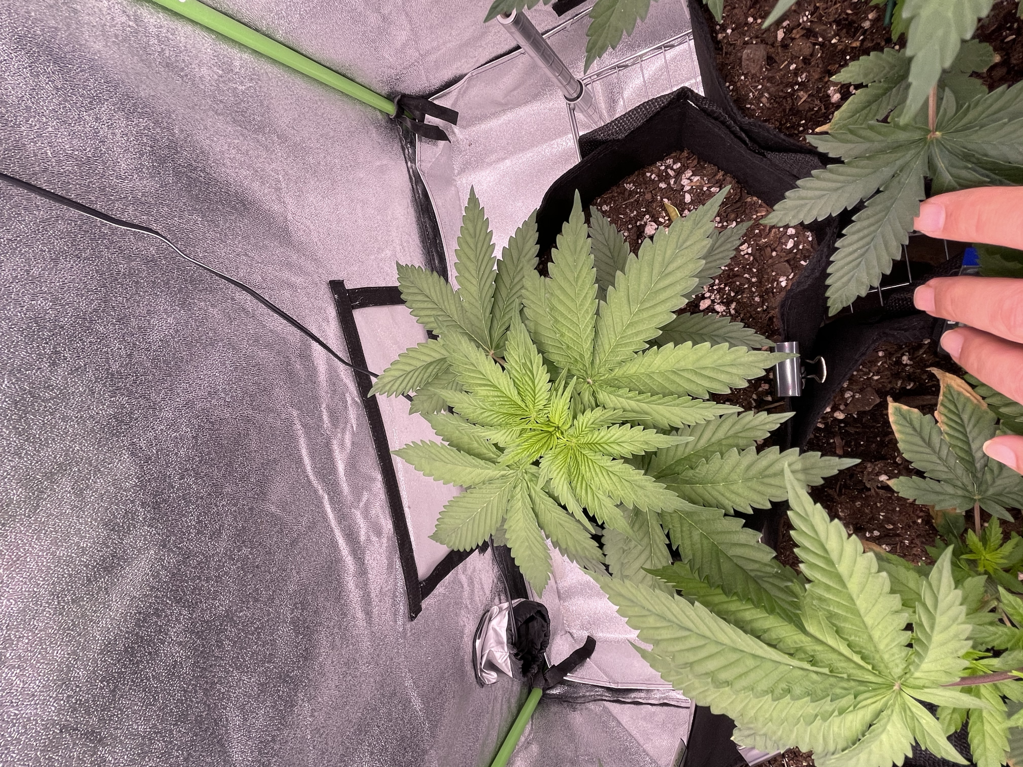 TempImageKh96vk