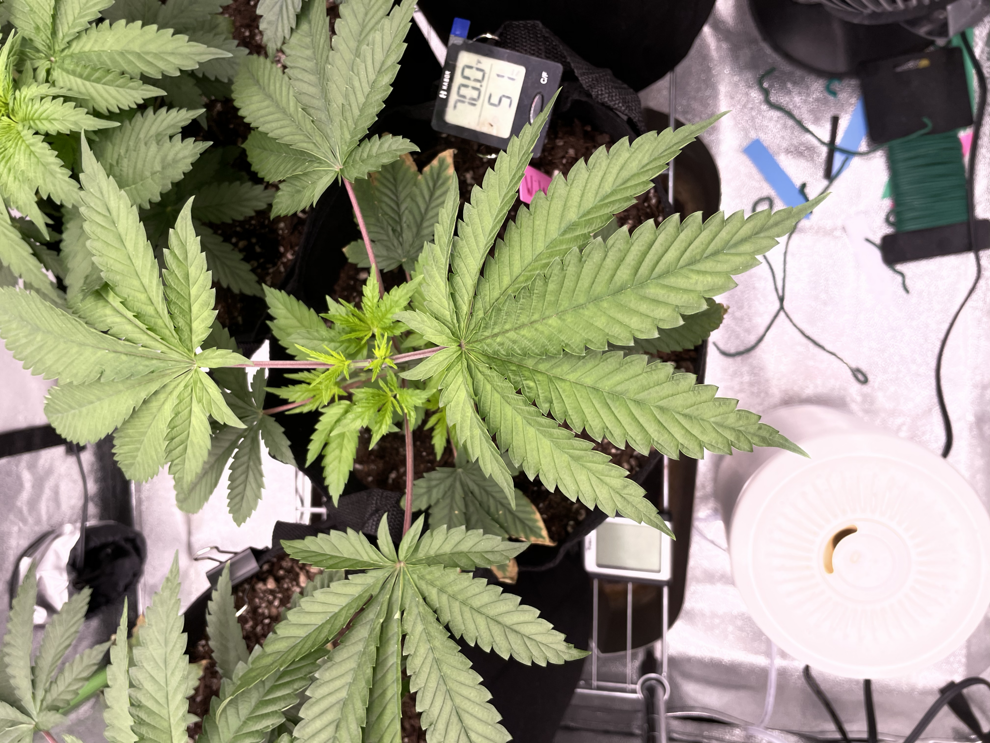 TempImageOkw8UK
