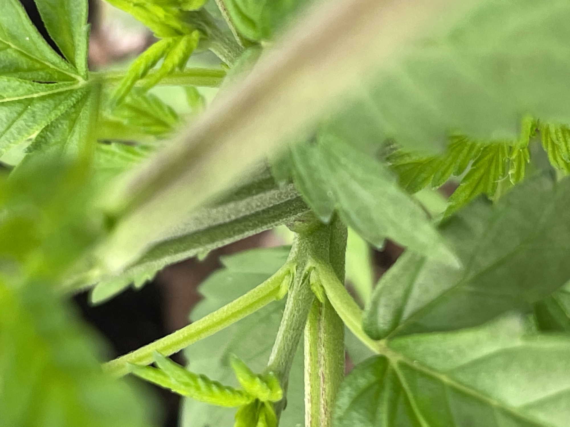 TempImageqiKpNk