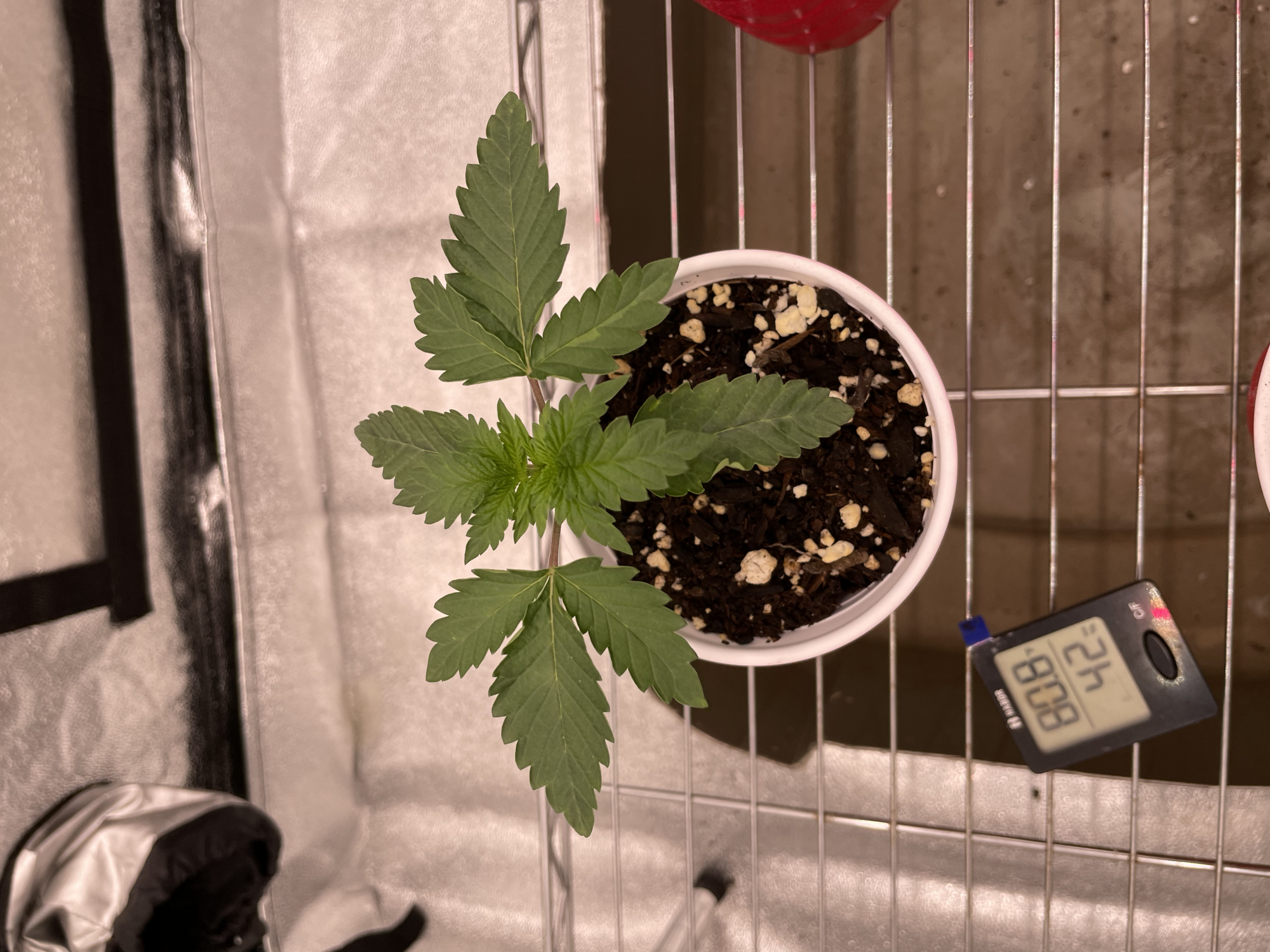 TempImagez7RQJz