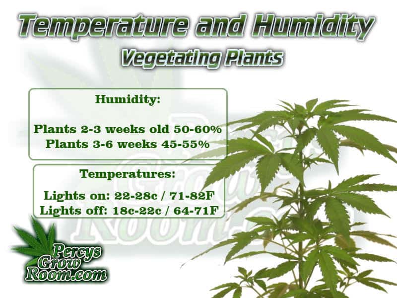 Temps and humidity for vegging cannabis plants