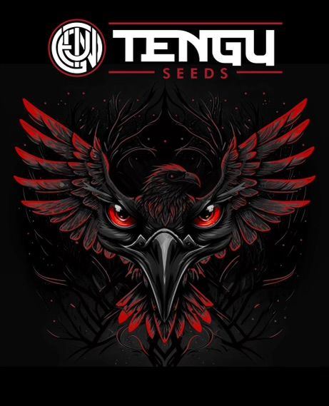 Tengu crow avatar