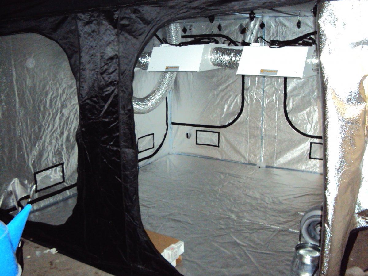 Tent city files secret jardin 10x10 with 6k 3