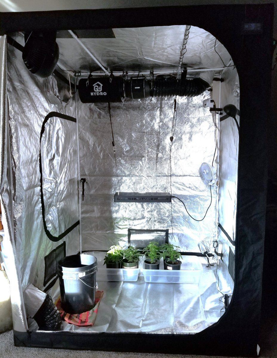Tent interior A