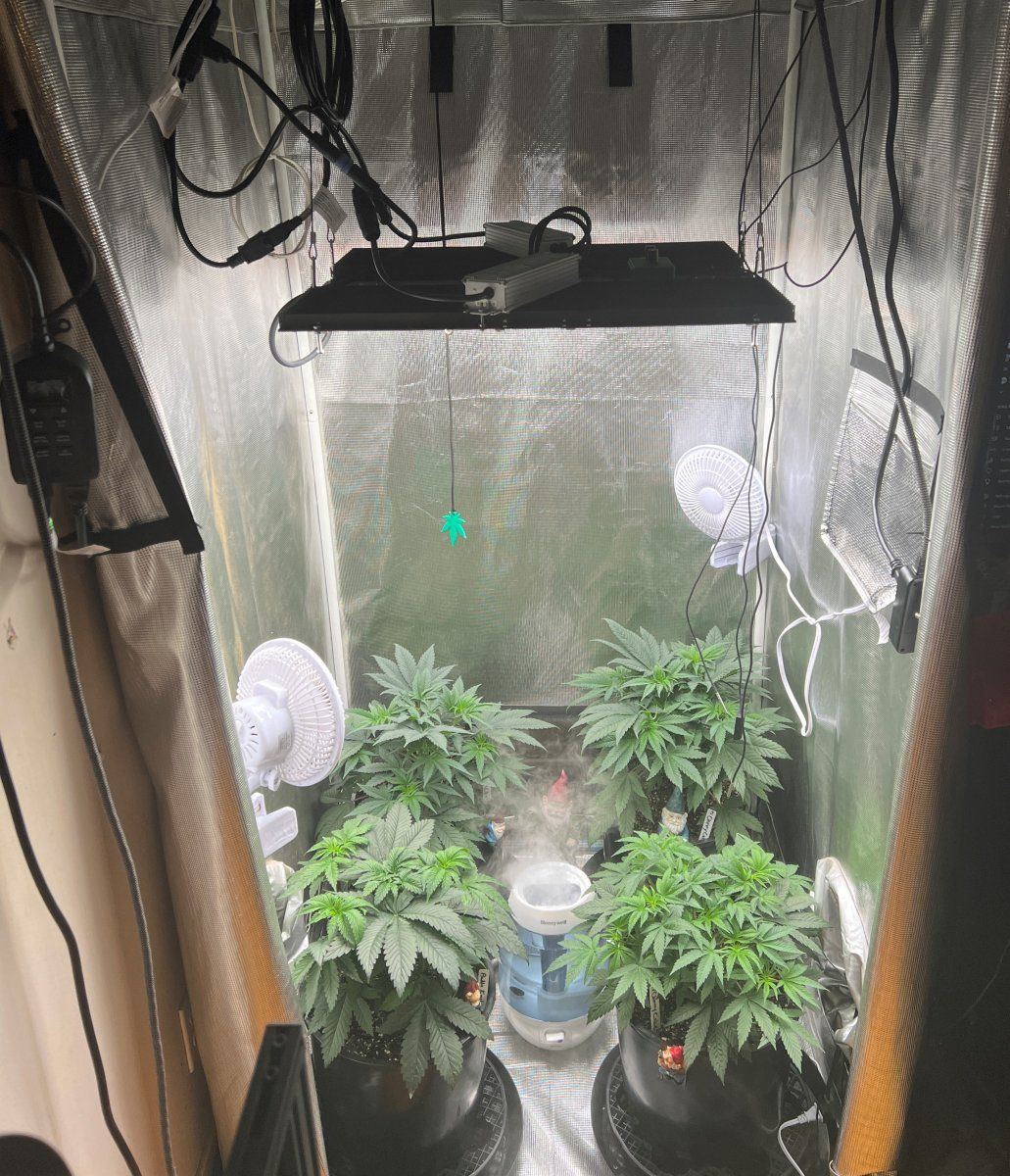 Tent