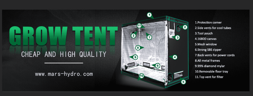 Tent