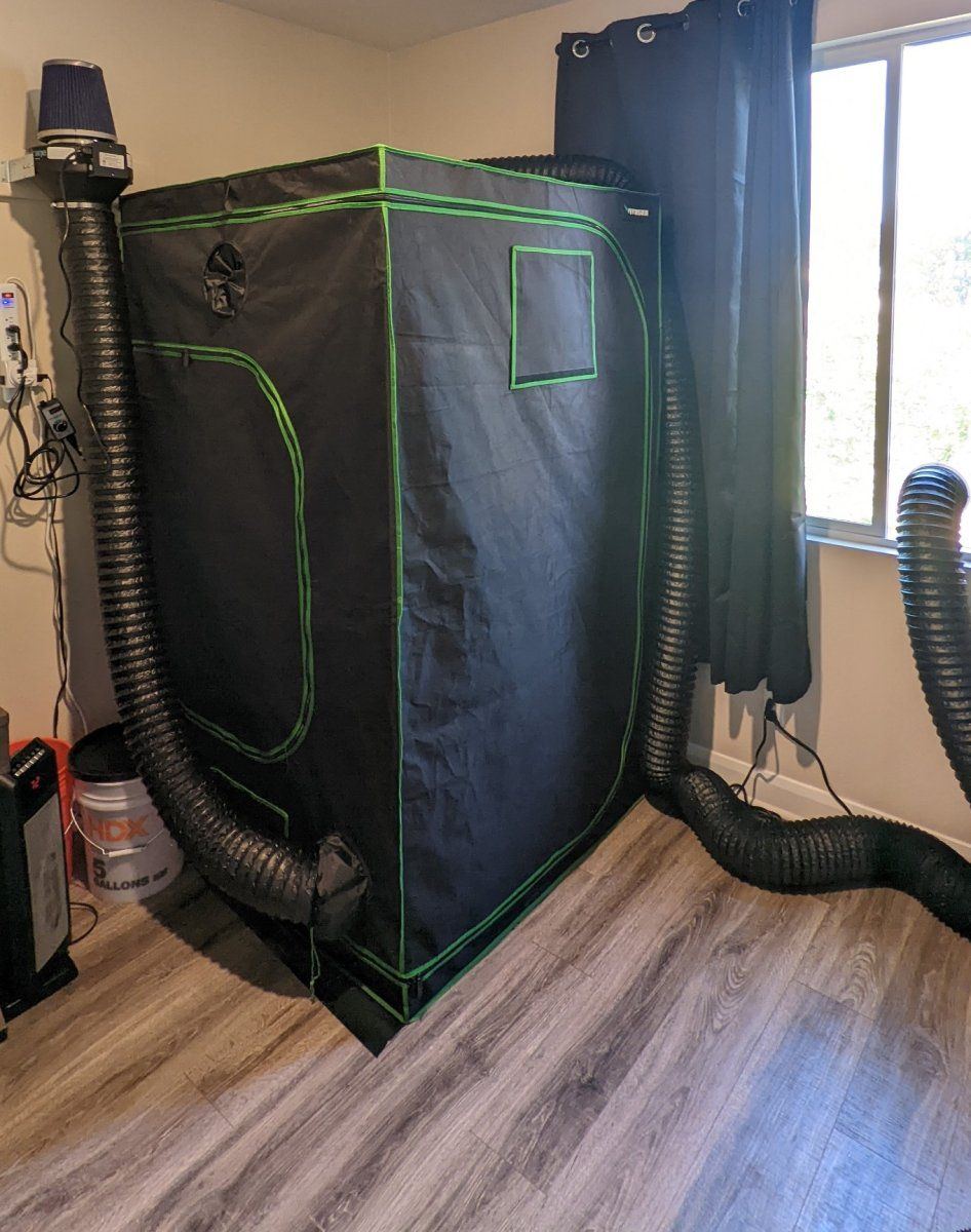 Tent setup 