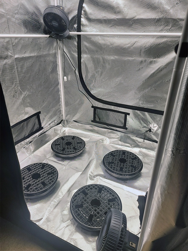 Tent010
